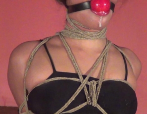 DME000157_HighStrung